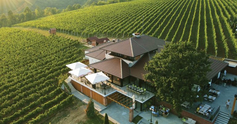 vinarija tarpos